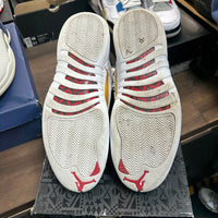Fiba Jordan 12 (USED)