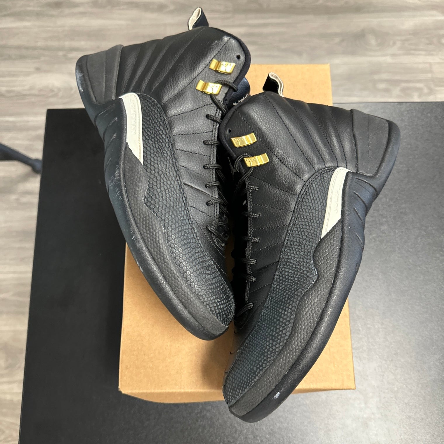 Master Jordan 12 Retro (USED, no box)