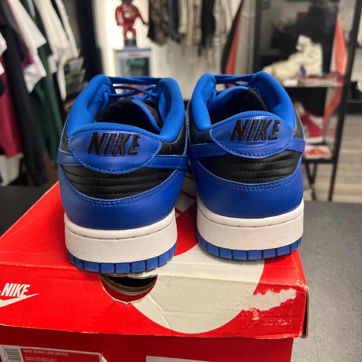 Cobalt Dunk Low (USED)