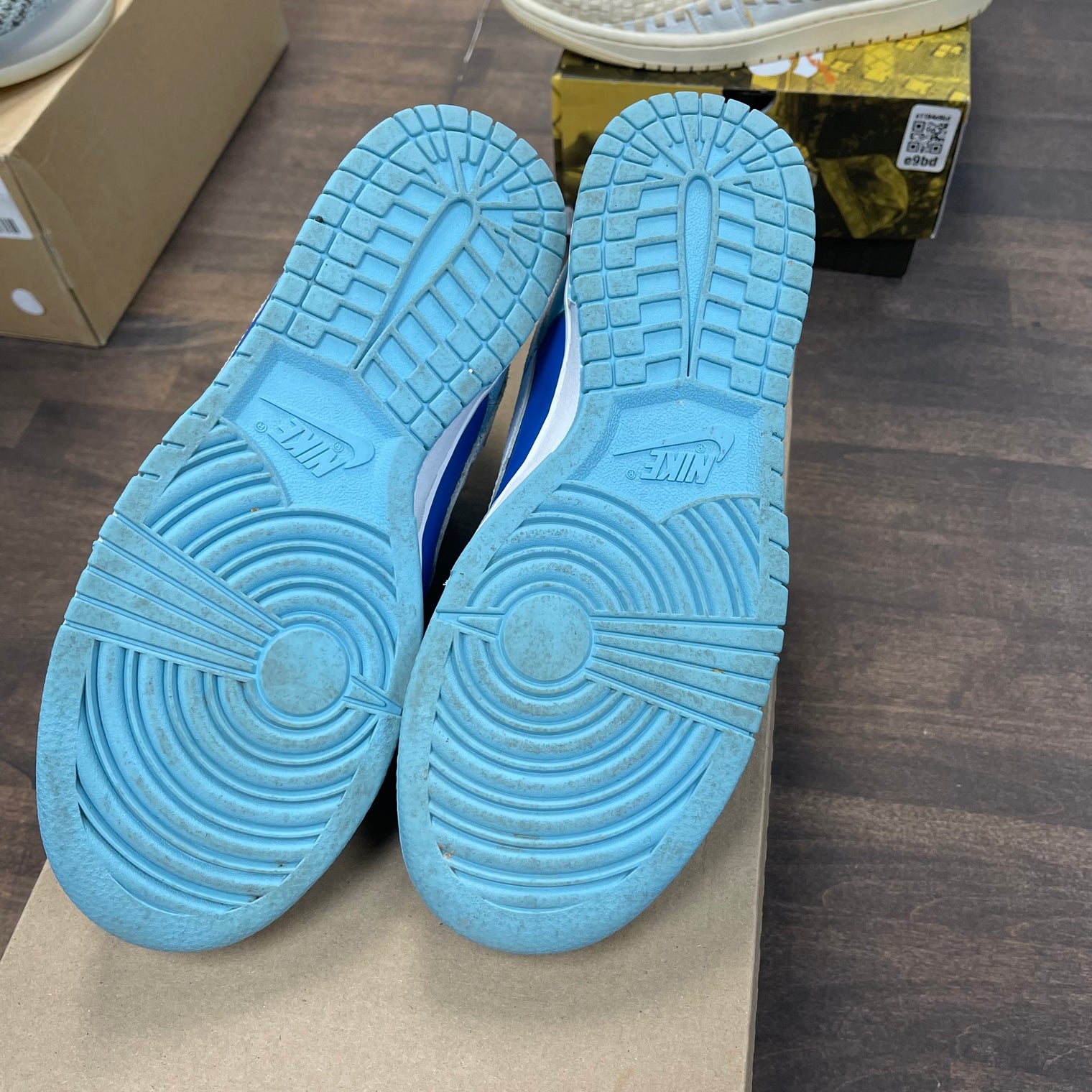 Argon Dunk Low (USED, No Box)