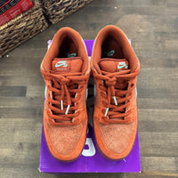 Mystic Red SB Dunk Low (USED)