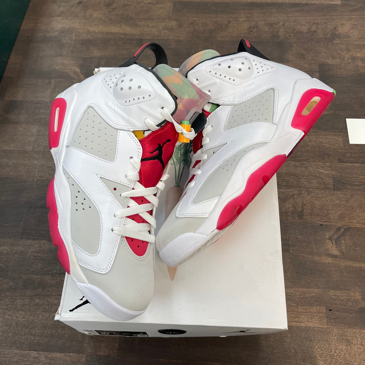 Hare Jordan 6 (USED)