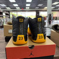 University Gold Jordan 12 (USED)