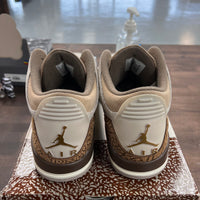 Palomino Jordan 3 (USED)