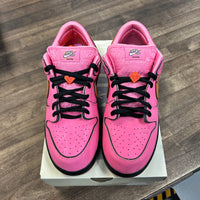 The Powerpuff Girls Blossom SB Dunk Low (USED)
