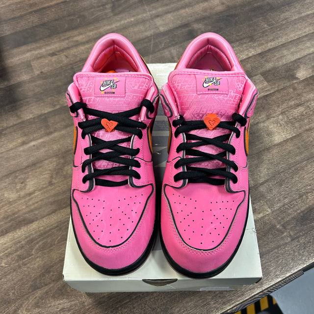 The Powerpuff Girls Blossom SB Dunk Low (USED)