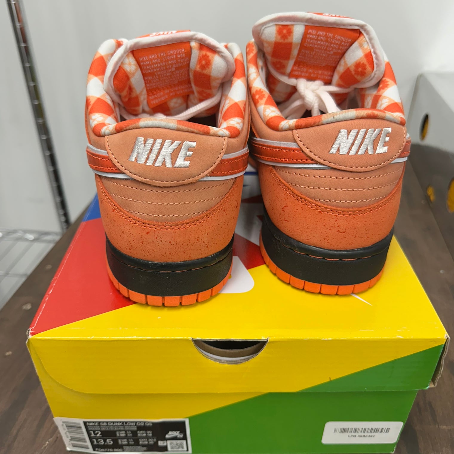 Orange Lobster SB Dunk Low (USED)