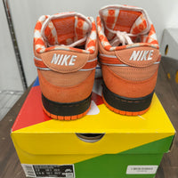 Orange Lobster SB Dunk Low (USED)
