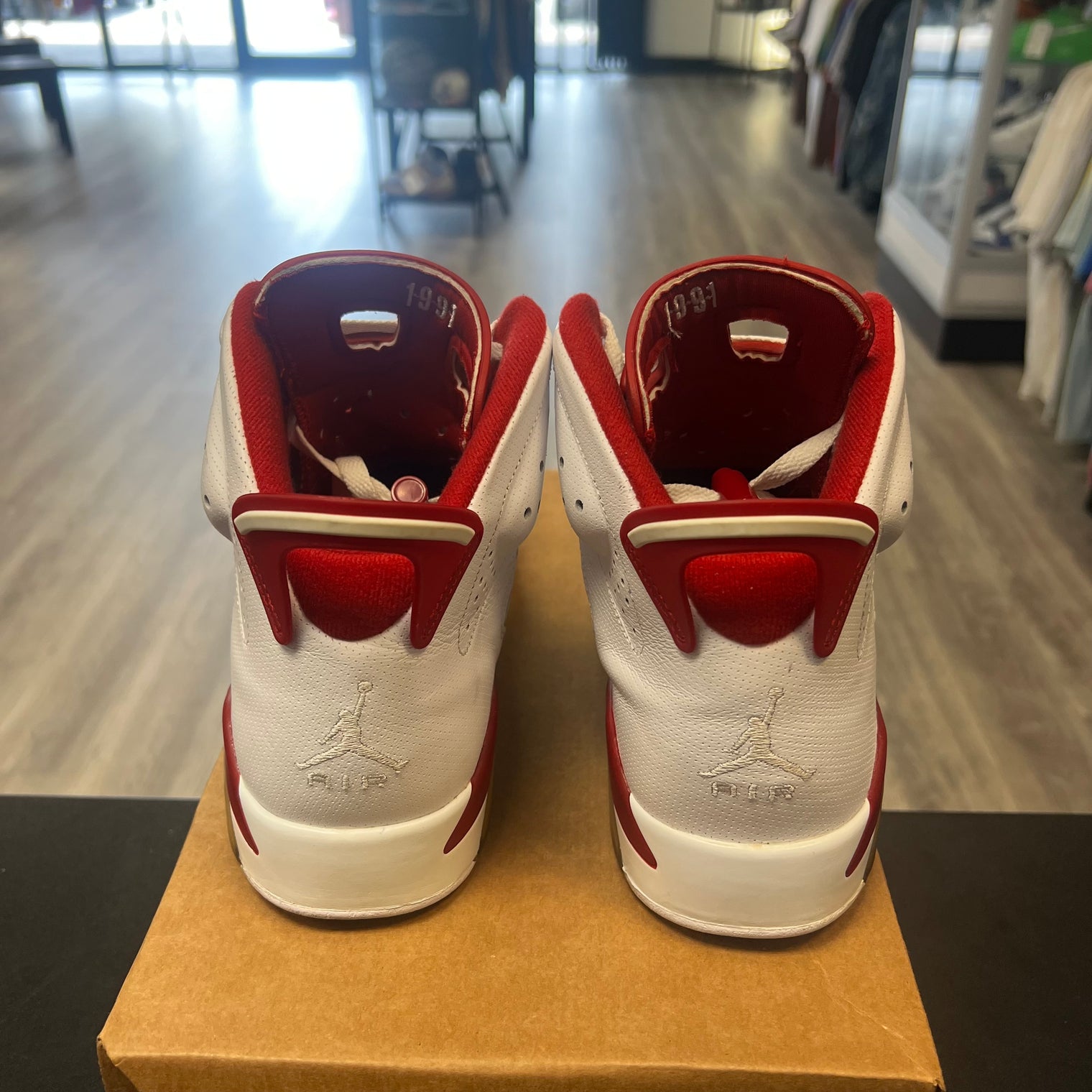 Alternate Hare Jordan 6 (USED, No Box)