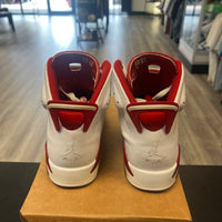 Alternate Hare Jordan 6 (USED, No Box)