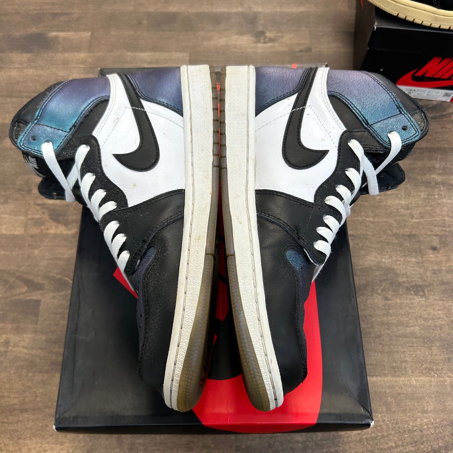Chameleon All-Star Jordan 1 High (USED)