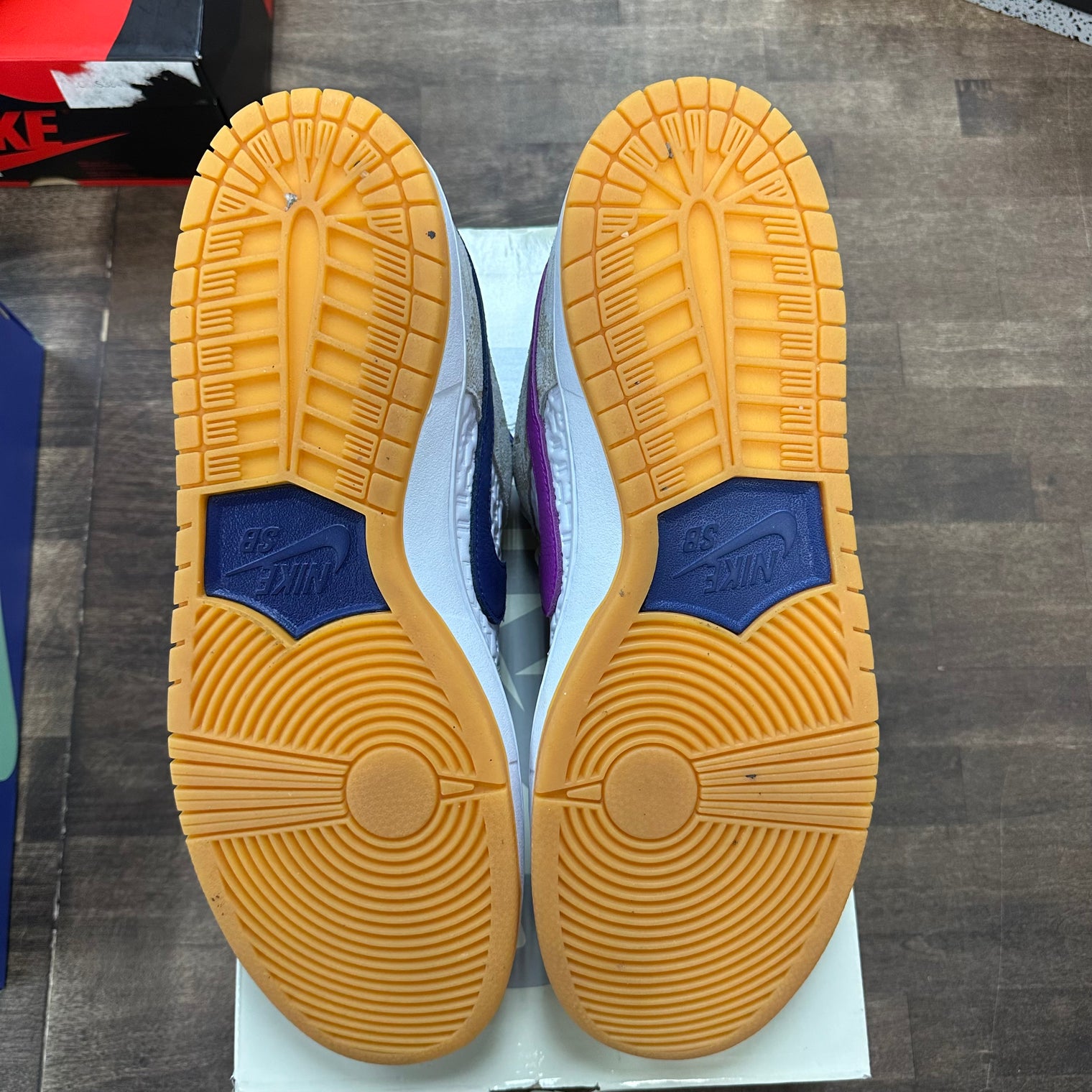 Rayssa Leal Nike SB Dunk Low (USED)