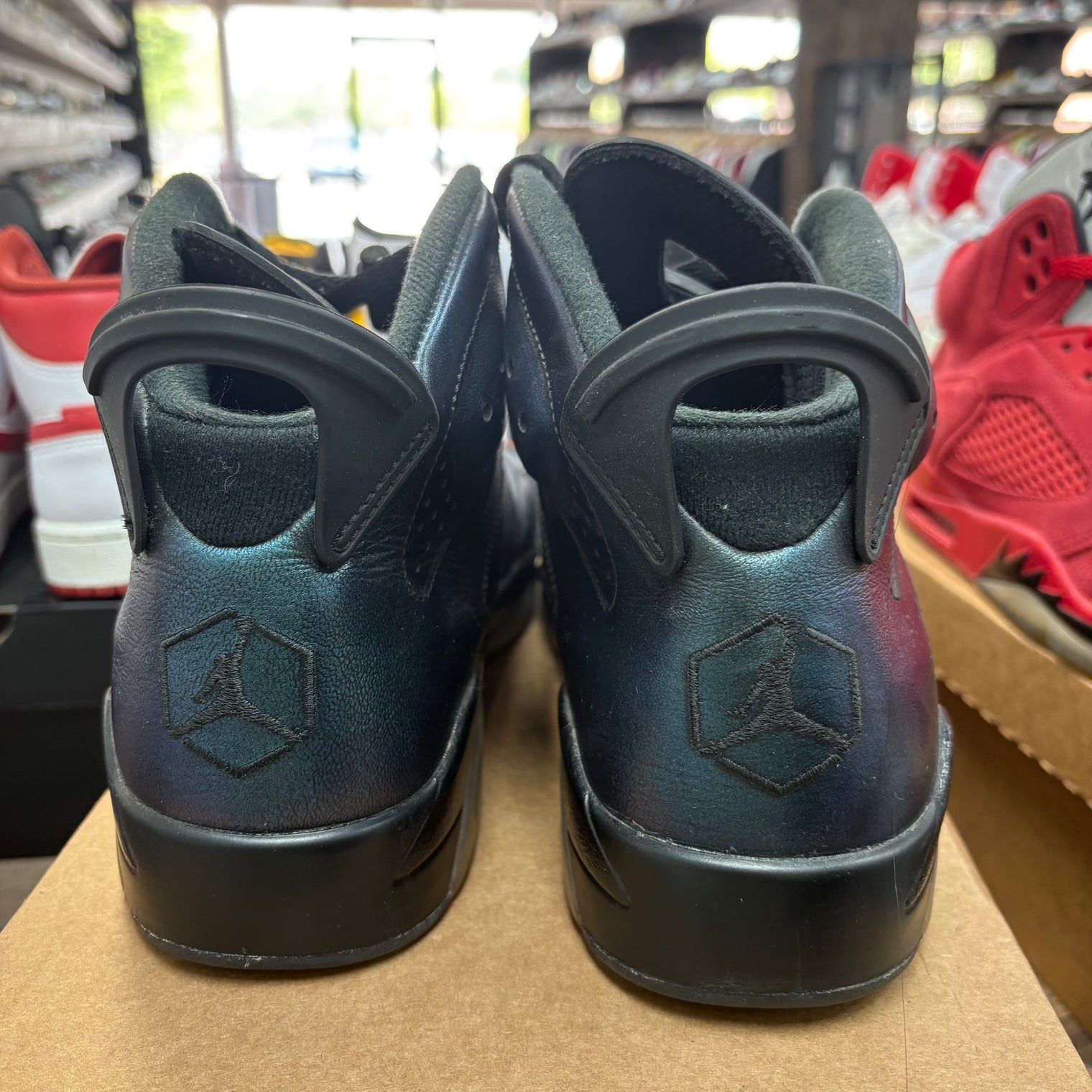 Chameleon Jordan 6 Retro (USED, No Box)