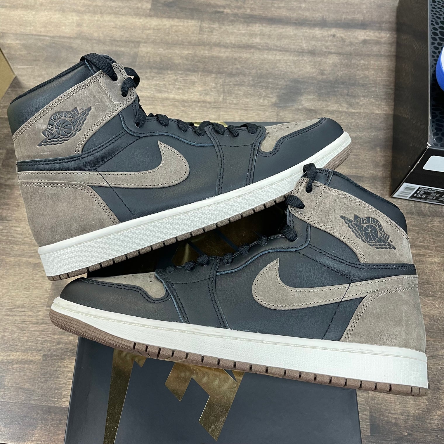Palomino Jordan 1 High (USED)