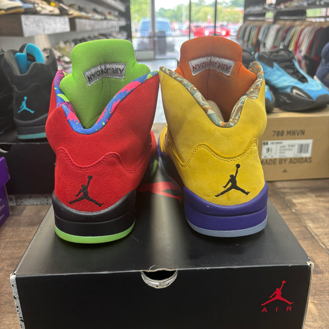 What the Jordan 5 Retro (USED)