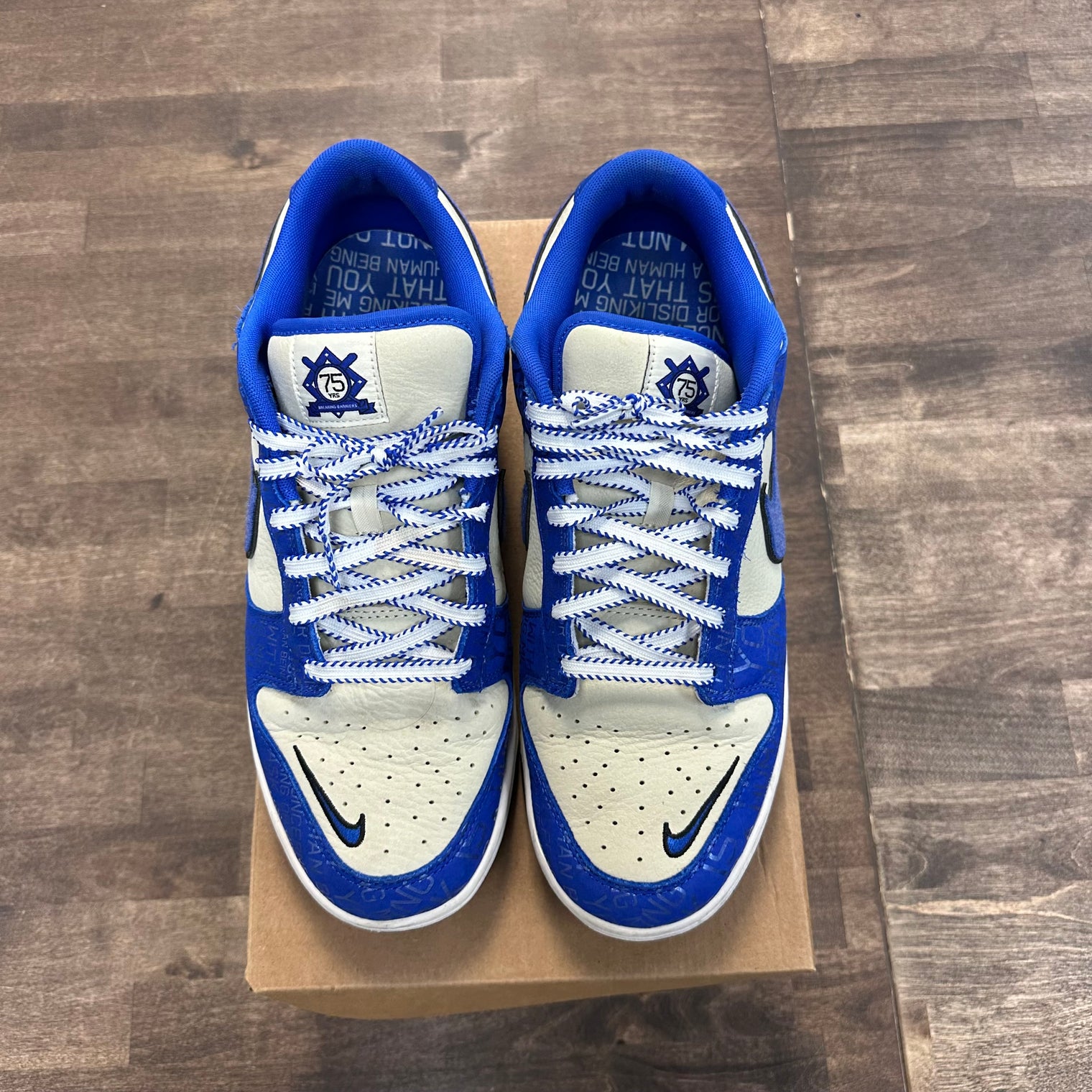 Jackie Robinson Dunk Low (USED, No Box)