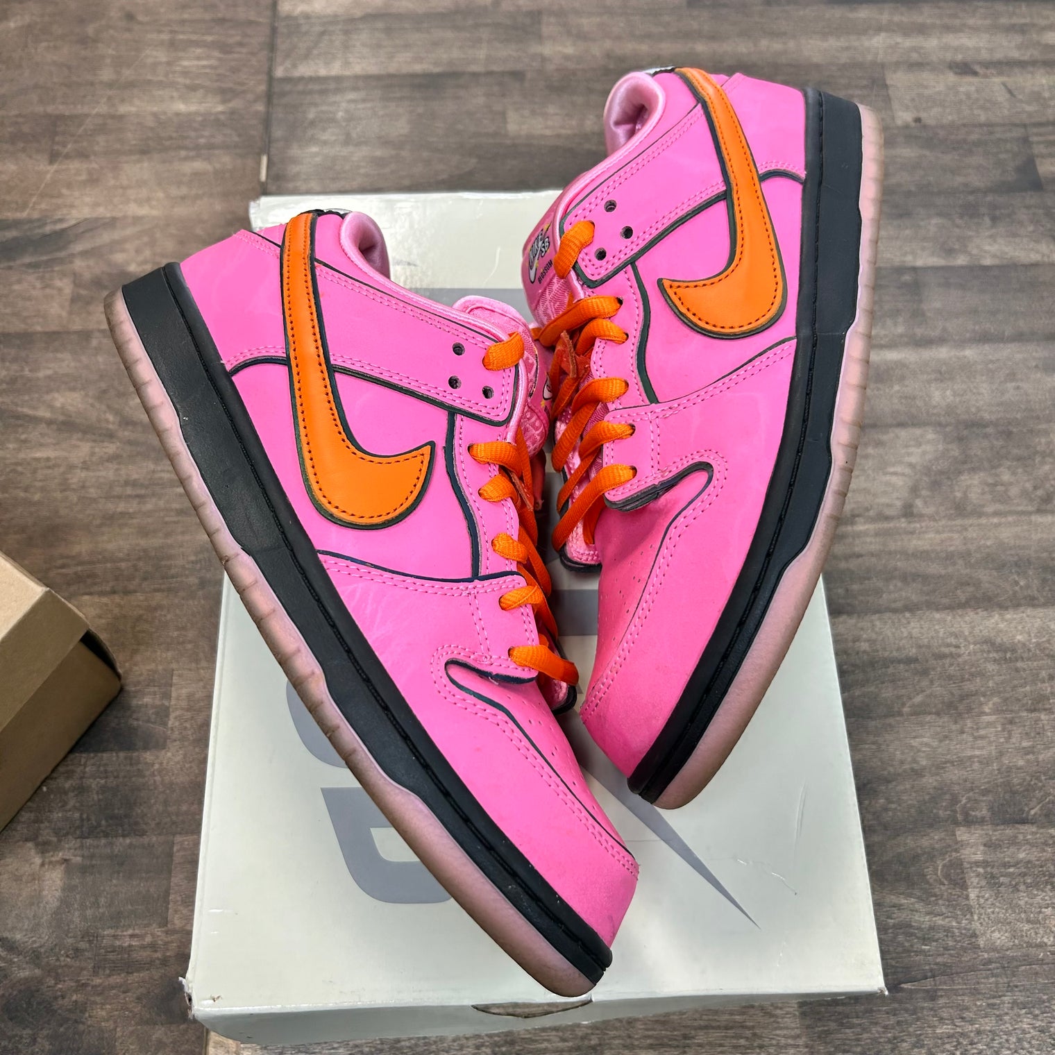 The Powerpuff Girls Blossom SB Dunk Low (USED)