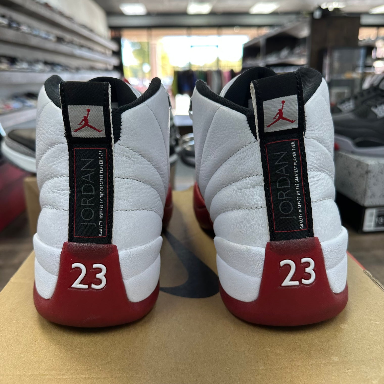 Cherry Jordan 12 Retro (2023) (USED)