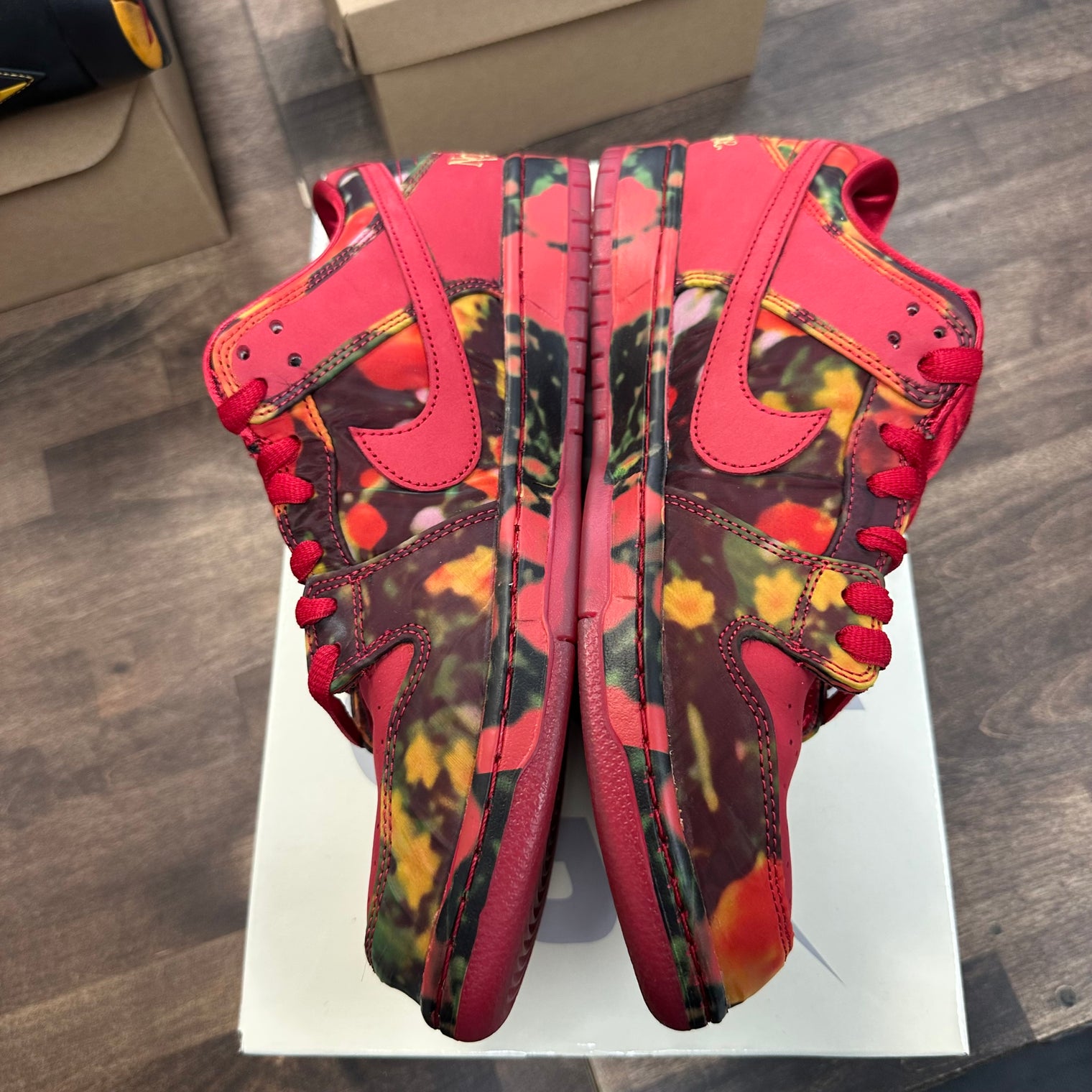 Wizard of OZ SB Dunk Low (USED)