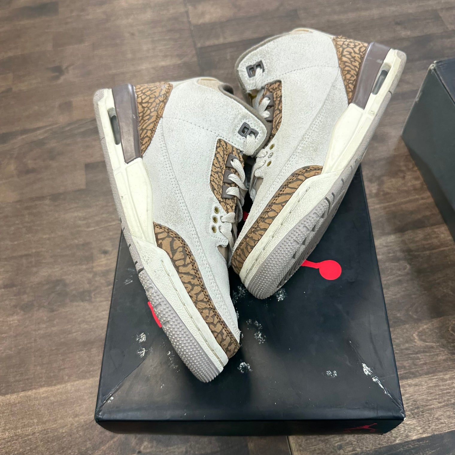 Palomino Jordan 3 (GS) (USED)