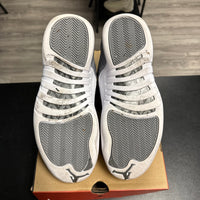 Stealth Jordan 12 (USED)