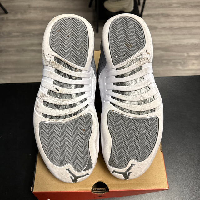 Stealth Jordan 12 (USED)