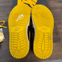 Pollen Jordan 1 High (USED)