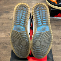 Chameleon All-Star Jordan 1 High (USED)