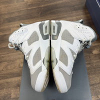 Cool Grey Jordan 6 (USED)