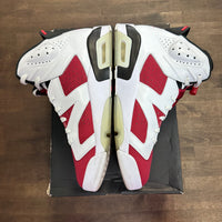 Carmine Jordan 6 Retro (2021) (USED)