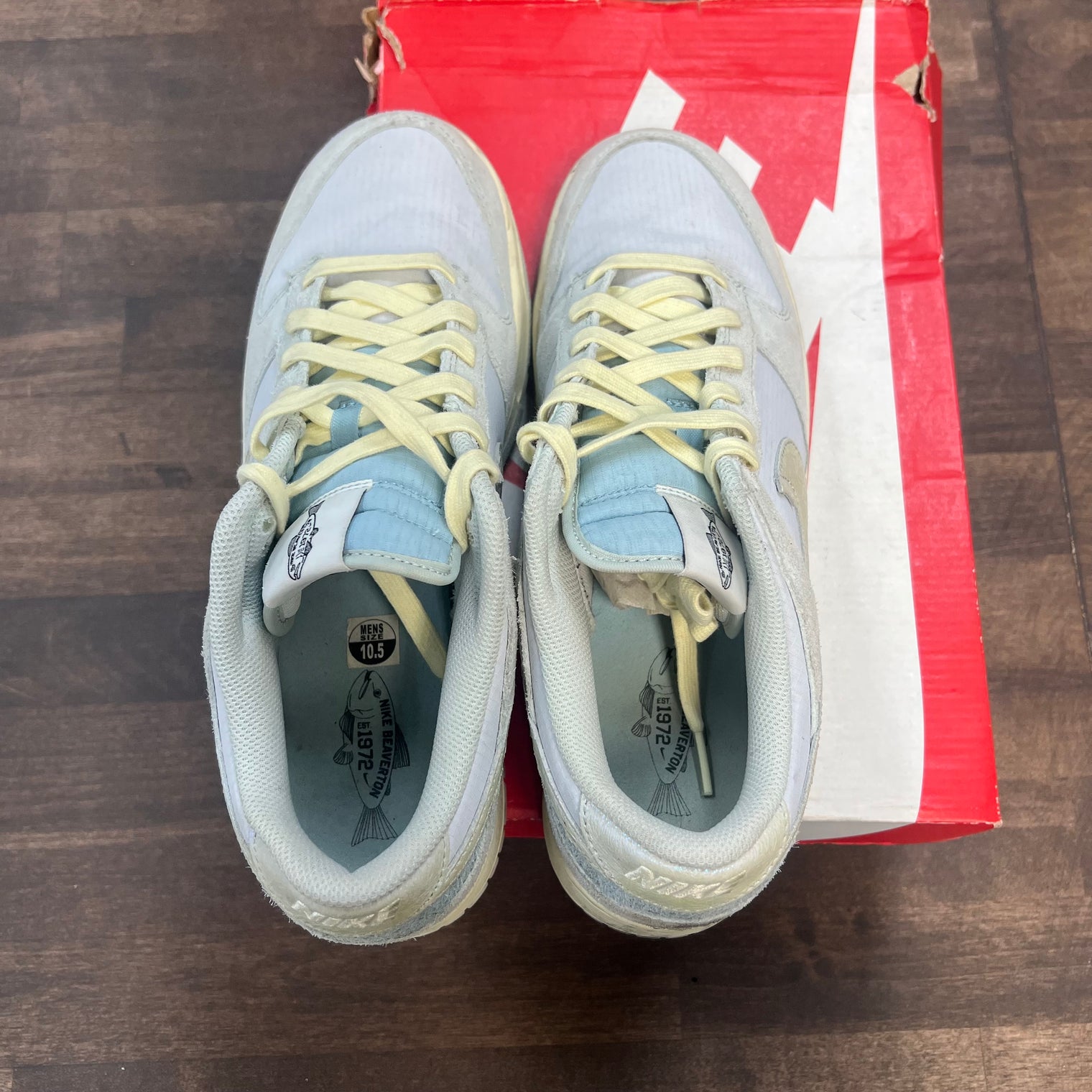 Gone Fishing Nike Dunk Low (USED)