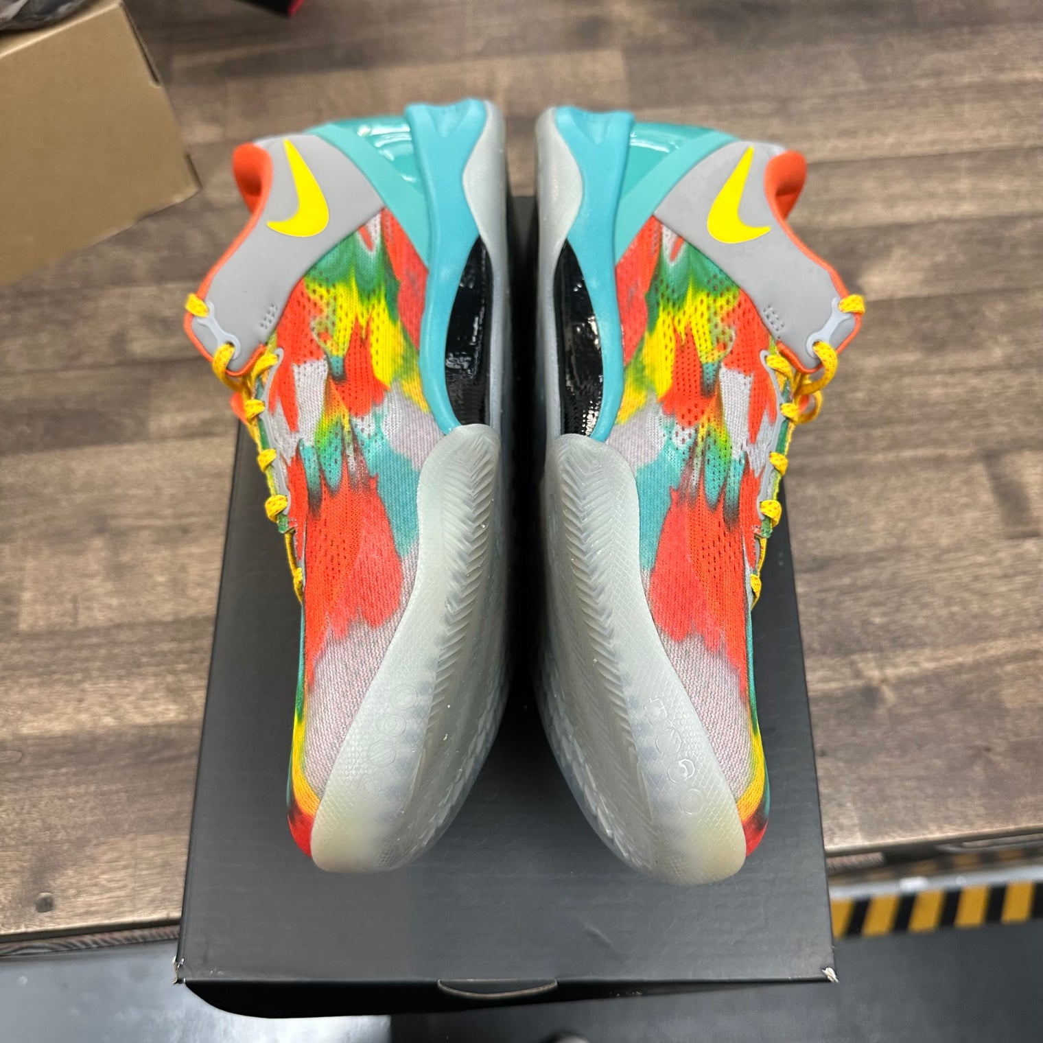 Venice Beach Kobe 8 Protro (USED)