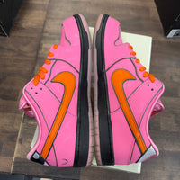 Blossom The Powerpuff Girls Nike SB Dunk Low (USED)