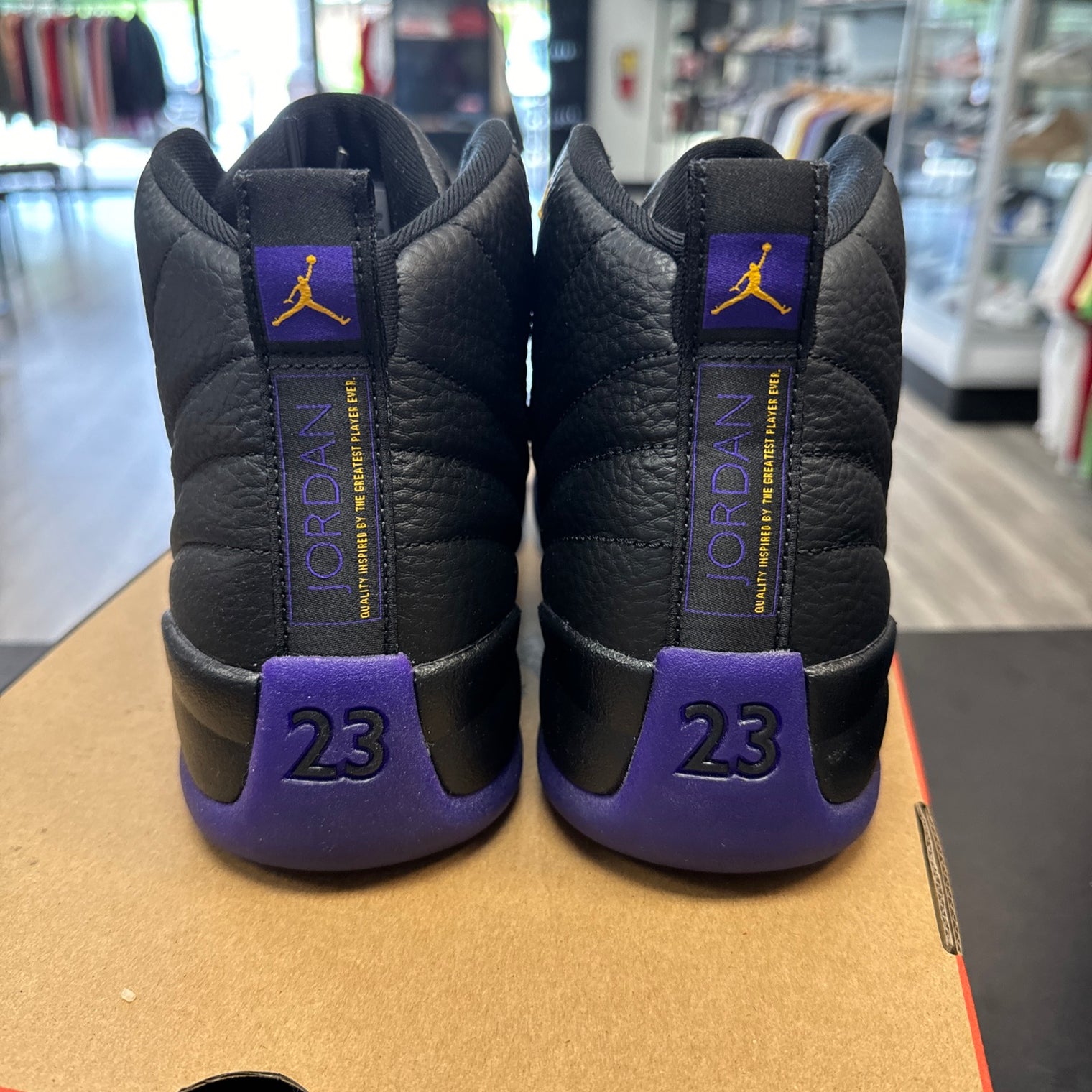 Field Purple Jordan 12 (USED)