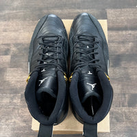 The Master Jordan 12 Retro (USED, no box)