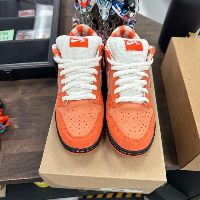 Orange Lobster SB Dunk Low (USED, No Box)