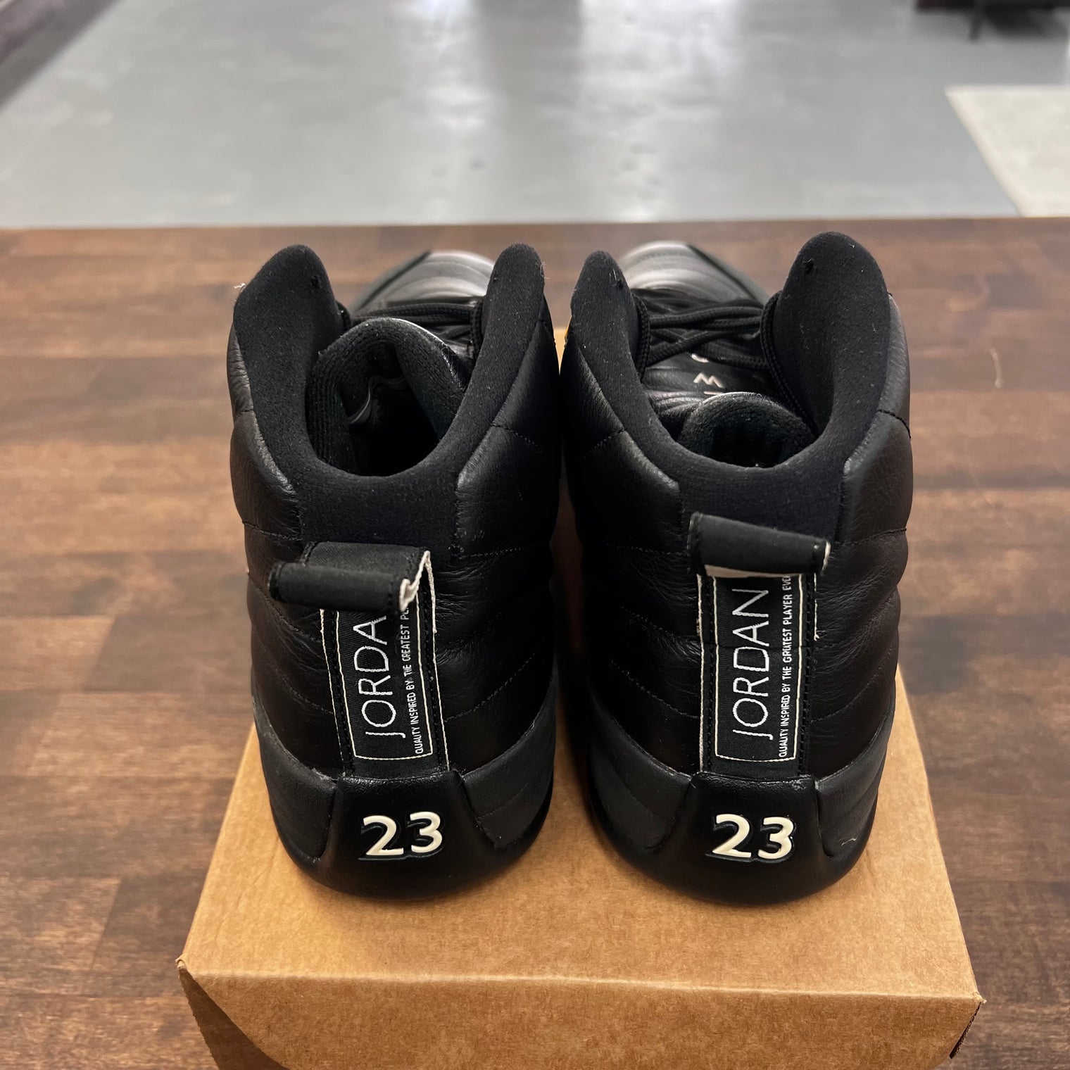 The Master Jordan 12 Retro (USED, no box)