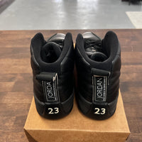 The Master Jordan 12 Retro (USED, no box)