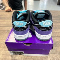 Hayley WIlson Nike SB Dunk low (USED)