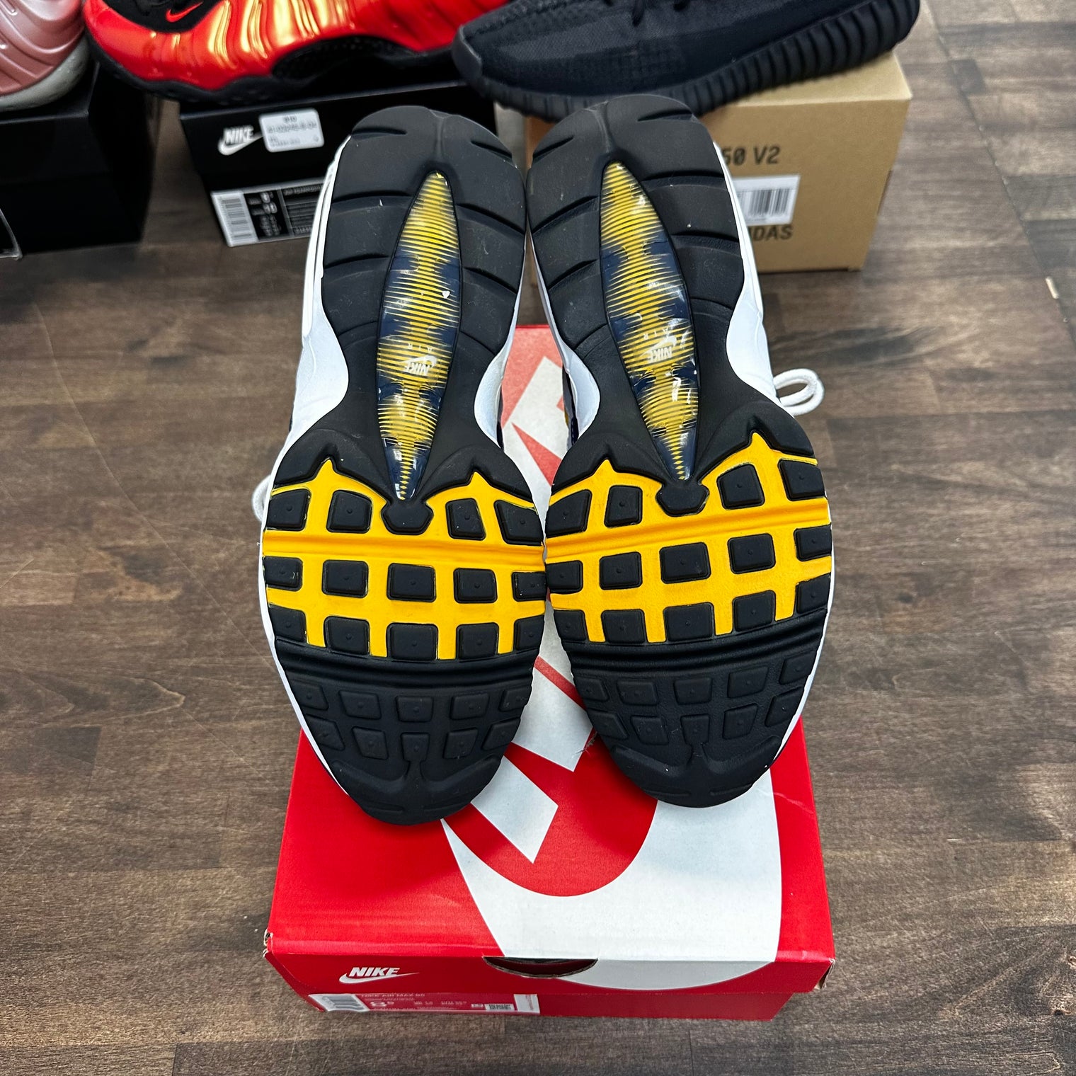 Michigan Air Max 95 (USED)