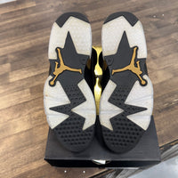 DMP Jordan 6 Retro (USED)