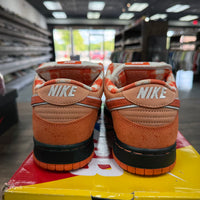 Orange Lobster SB Dunk Low (USED)