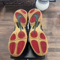 Gucci Nike Foamposite (USED,Replacement Box)