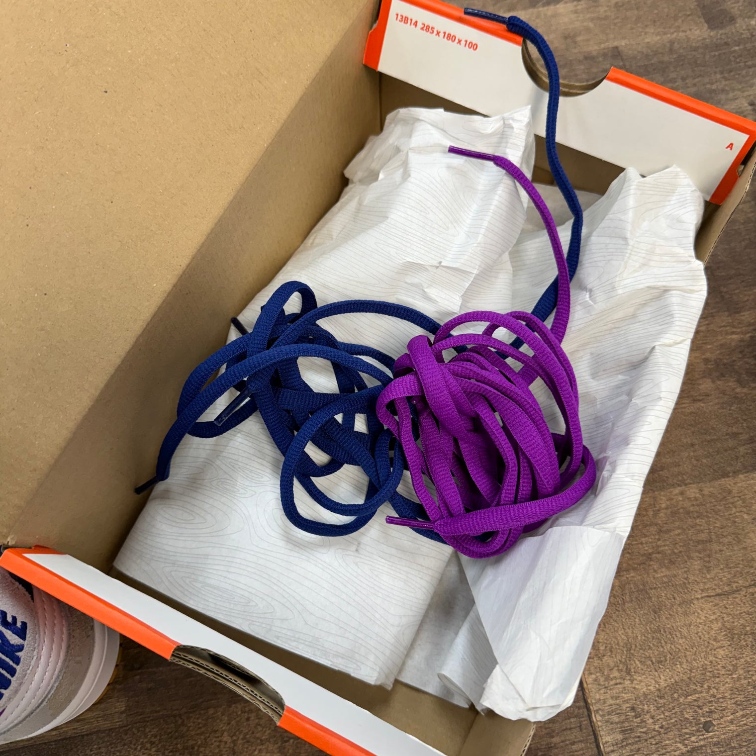 Rayssa Leal Nike SB Dunk Low (USED, Replacement Box, Strong Smoke Smell)