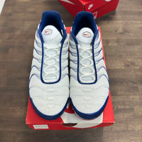 White Red Blue Air Max Plus (Used)