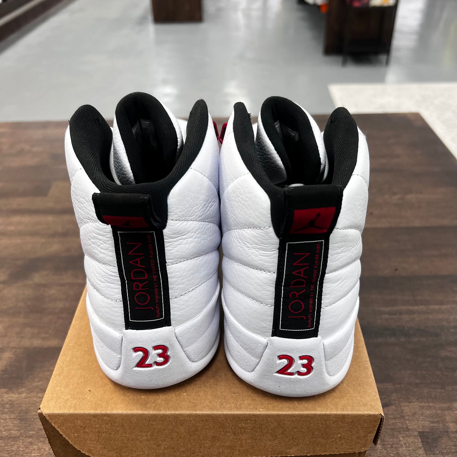 Twist Jordan 12 (USED, No Box)