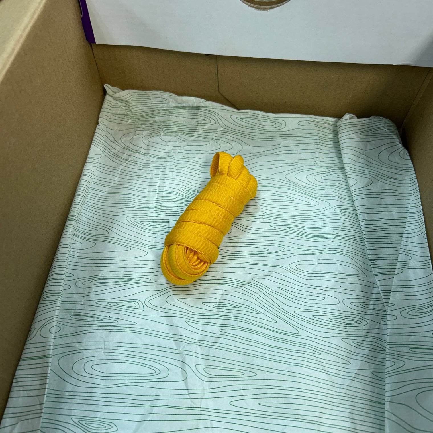 Barcelona Nike SB Dunk Low (USED)