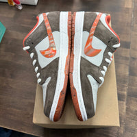 Crushed D.C. SB Dunk Low (USED, No Box)