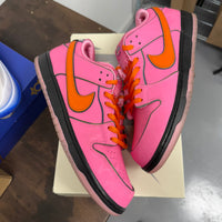 Powerpuff Girls Blossom SB Dunk Low (USED)