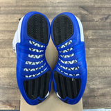 Jordan 12 Retro Blueberry (US 9.5) (USED,No Box) Size 9.5 (Pre-Owned) - Image 5